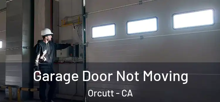  Garage Door Not Moving Orcutt - CA