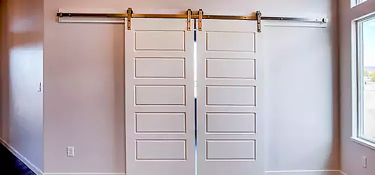 Glass Barn Door with Installation Hardware Kit Orcutt