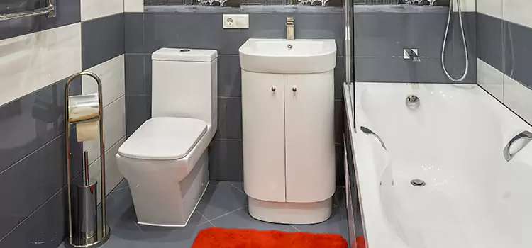Hansgrohe Shaving Mirror Orcutt